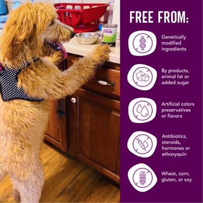 Show full view: Health Extension Pate Variety Pack: Chicken, Turkey, Lamb Wet Dog Food, 12-oz can, 12 count slide 6 of 7