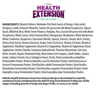 Show full view: Health Extension Salmon Recipe Dry Food + Oven Baked Salmon Recipe with Kale Dog Treats slide 4 of 9