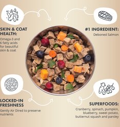 Health Extension Salmon Recipe Non-GMO Air-Dried Dog Food, 12-oz bag slide 2 of 9