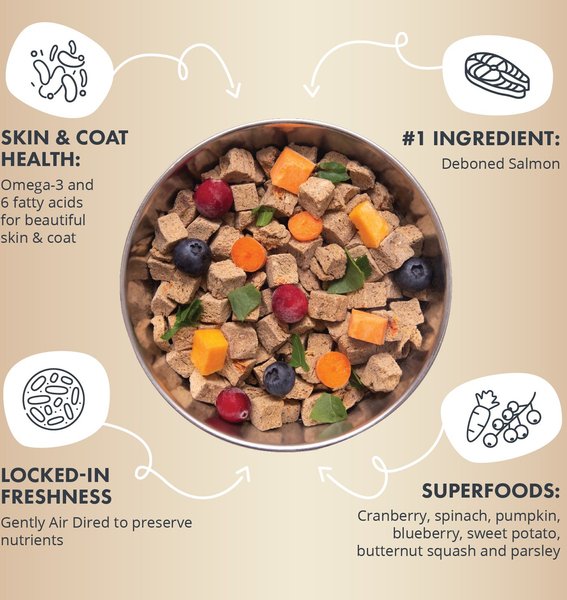 Health Extension Salmon Recipe Non-GMO Air-Dried Dog Food