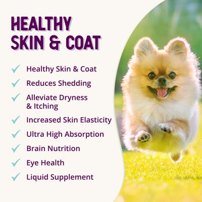 Show full view: Health Extension Skin & Coat Liquid Dog Supplement, 16-fl oz bottle slide 8 of 11
