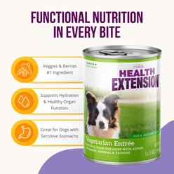 Health Extension Vegetarian Entree Canned Dog Food, 12.5-oz, case of 12 slide 2 of 9