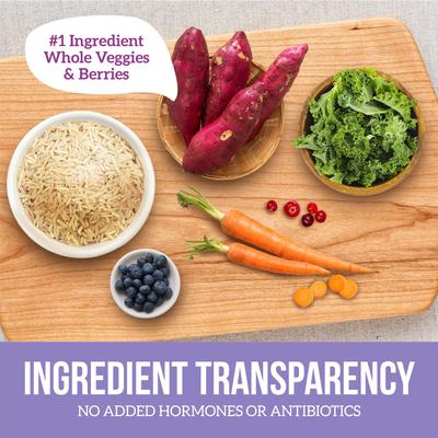 Show full view: Health Extension Vegetarian Entree Canned Dog Food, 12.5-oz, case of 12 slide 9 of 12