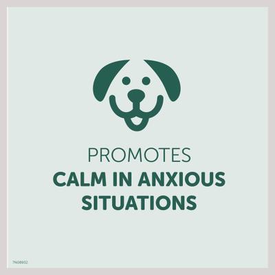 Show full view: Healthfuls Calming Support Chicken Recipe Dog Treats, 12-oz bag slide 7 of 9