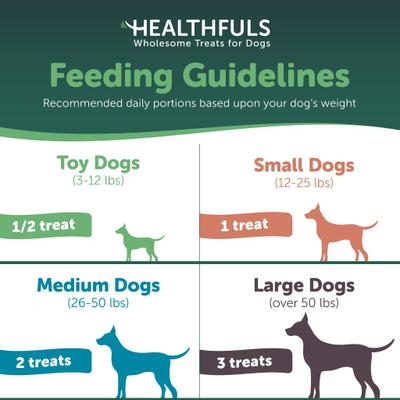 Show full view: Healthfuls Deli Sticks Pork & Turkey Human-Grade Gluten-Free Soft & Chewy Dog Treats, 10 count bag slide 7 of 10