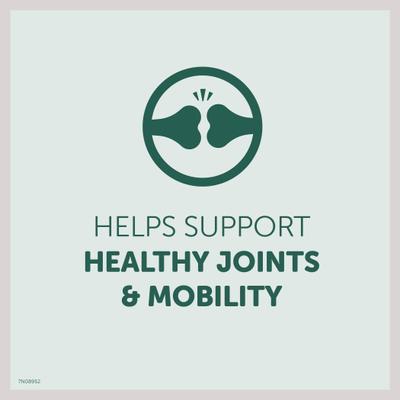 Show full view: Healthfuls Hip & Joint Support Chicken Recipe Dog Treats, 12-oz bag slide 7 of 10