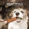 Show in main carousel: Healthfuls Salmon Fillets Dog Treats, 3.5-oz bag slide 8 of 9