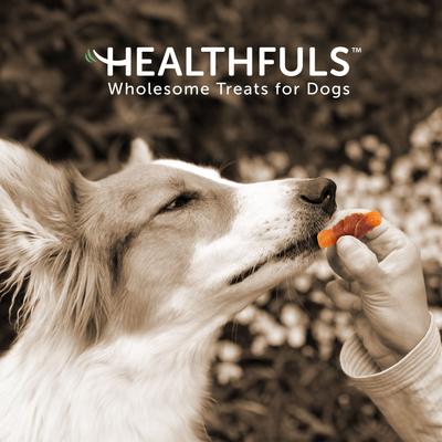Show full view: Healthfuls Sweet Potato & Chicken Wraps Dehydrated Dog Treats, 16-oz bag slide 7 of 8