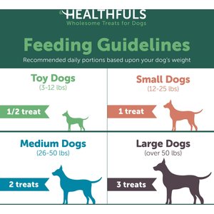 Healthfuls Sweet Potato Slices Dog Treats, 16-oz bag