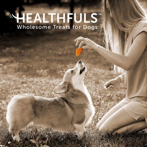Healthfuls Sweet Potato Slices Dog Treats, 16-oz bag