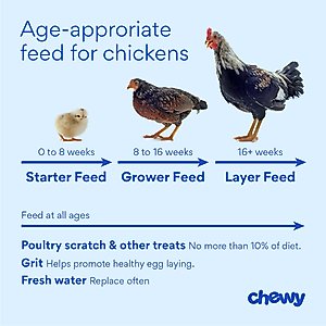 Healthy Harvest Non-GMO 20% Protein Chick Starter Grower Crumbles Chicken Feed, 40-lb bag