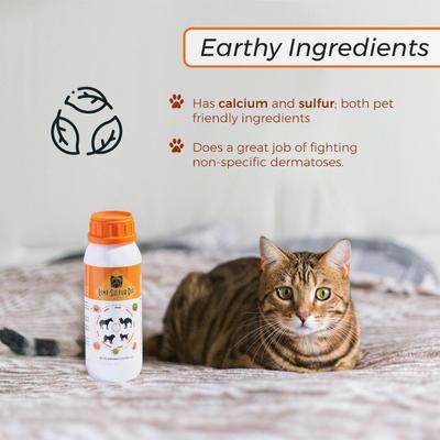 Show full view: Healthy Paw Life Pet Care Itchy & Dry Skin Lime Sulfur Flea & Tick Dip for Dogs & Cats, 16-fl oz bottle slide 5 of 9