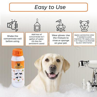 Show full view: Healthy Paw Life Pet Care Itchy & Dry Skin Lime Sulfur Flea & Tick Dip for Dogs & Cats, 16-fl oz bottle slide 7 of 9