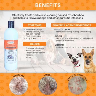 Show full view: Healthy Paw Life Sulfur Salicylic Acid Oatmeal Antiparasitic & Antiseborrheic Flea & Tick Shampoo for Dogs, 16-fl oz bottle slide 2 of 6