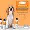 Show in main carousel: Healthy Paw Life Sulfur Salicylic Acid Oatmeal Antiparasitic & Antiseborrheic Flea & Tick Shampoo for Dogs, 8-fl oz bottle slide 5 of 7