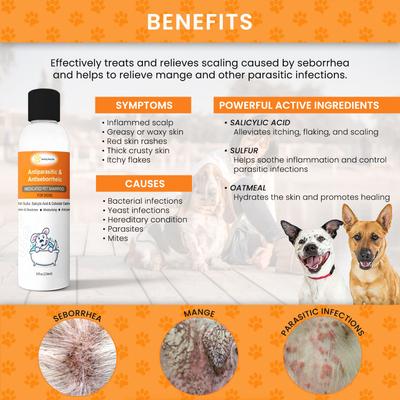 Show full view: Healthy Paw Life Sulfur Salicylic Acid Oatmeal Antiparasitic & Antiseborrheic Flea & Tick Shampoo for Dogs, 8-fl oz bottle slide 3 of 7