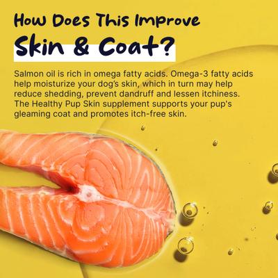 Show full view: Healthy Pup Omega Soft Chews Skin & Coat Supplement for Dogs, 360 count slide 4 of 11