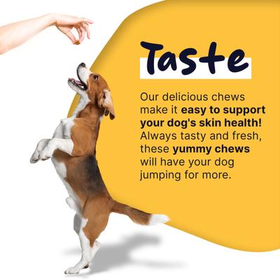 Show full view: Healthy Pup Omega Soft Chews Skin & Coat Supplement for Dogs, 360 count slide 6 of 11