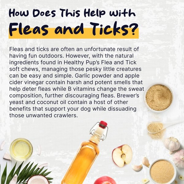Healthy Pup Peanut Butter Flavored Soft Chews Flea & Tick Oral Treatment for Dogs, 90 count