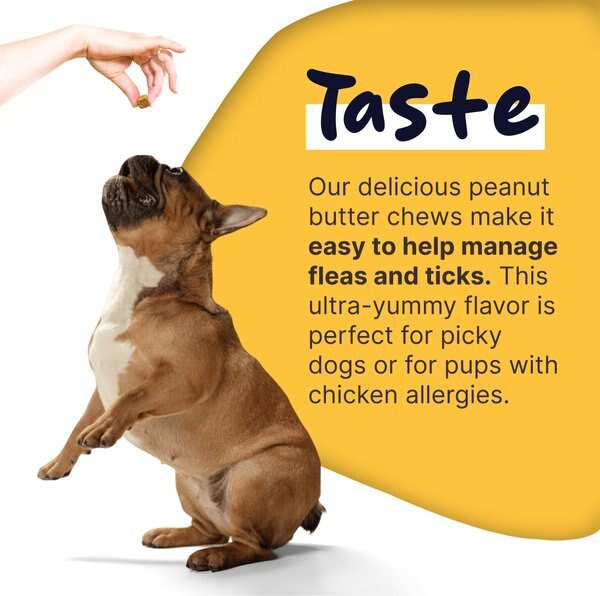 Healthy Pup Peanut Butter Flavored Soft Chews Flea & Tick Oral Treatment for Dogs, 90 count