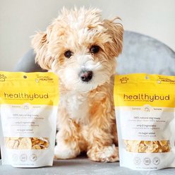Healthybud Banana Chips Crunchy Vegan Dog Treats Single Ingredient, 5.3-oz bag slide 2 of 5