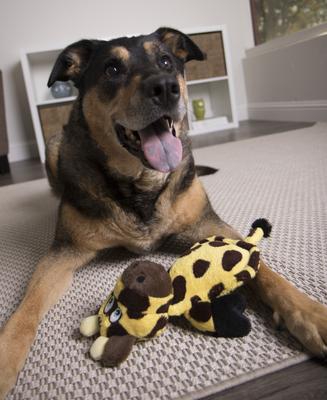 Show full view: Hear Doggy Silent Squeaker Chew Guard Flattie Giraffe Plush Dog Toy slide 3 of 11
