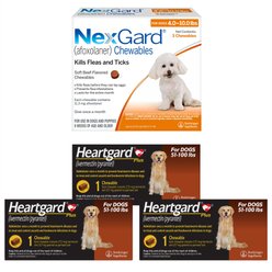 Heartgard Plus Chew, 51-100 lbs, (Brown Box), 3 Chew (3-mo. supply) + NexGard Chew for Dogs, 4-10 lbs, (Orange Box), 3 Chews (3-mos. supply)