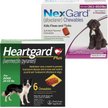 Show in main carousel: Heartgard Plus Chew for Dogs, 26-50 lbs, (Green Box), 6 Chews (6-mos. supply) & NexGard Chew for Dogs, 24.1-60 lbs, (Purple Box), 6 Chews (6-mos. supply) slide 1 of 10