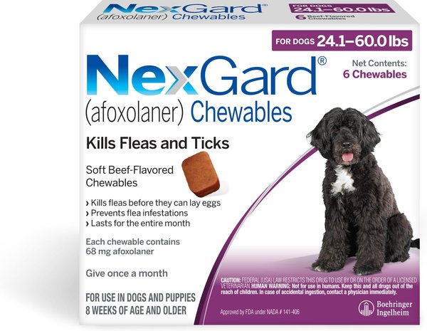 Show full view: Heartgard Plus Chew for Dogs, 26-50 lbs, (Green Box), 6 Chews (6-mos. supply) & NexGard Chew for Dogs, 24.1-60 lbs, (Purple Box), 6 Chews (6-mos. supply) slide 6 of 10