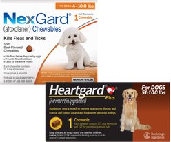 Heartgard Plus Chew for Dogs, 51-100 lbs, (Brown Box), 1 Chew (1-mo. supply) & NexGard Chew for Dogs, 4-10 lbs, (Orange Box), 1 Chew (1-mo. supply)