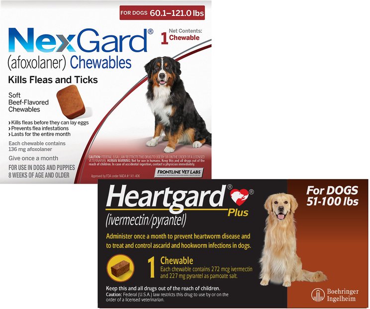 Prescription Pet Flea Meds & Treatment for Cats & Dogs (Free Shipping ...