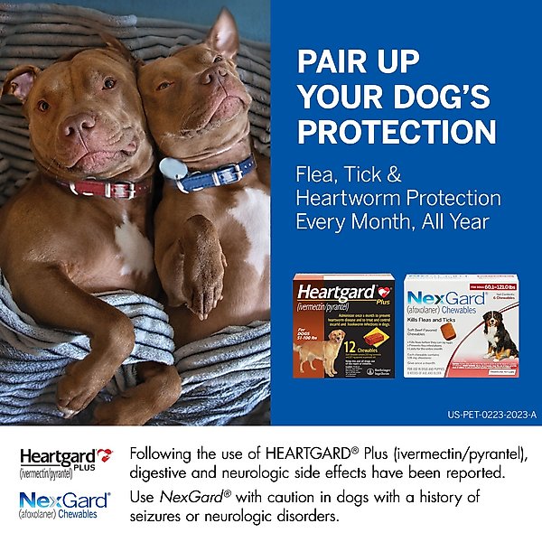 Show full view: Heartgard Plus Chew for Dogs, 51-100 lbs, (Brown Box), 6 Chews (6-mos. supply) &amp; NexGard Chew for Dogs, 60.1-121 lbs, (Red Box), 6 Chews (6-mos. supply) slide 2 of 10