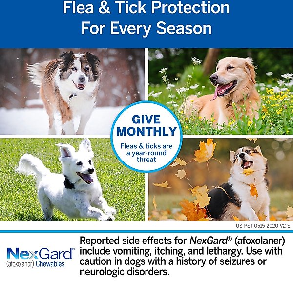 Show full view: Heartgard Plus Chew for Dogs, 51-100 lbs, (Brown Box), 6 Chews (6-mos. supply) &amp; NexGard Chew for Dogs, 60.1-121 lbs, (Red Box), 6 Chews (6-mos. supply) slide 9 of 10