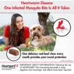 Show in main carousel: Heartgard Plus Chew for Dogs, 51-100 lbs, (Brown Box), 6 Chews (6-mos. supply) slide 5 of 12