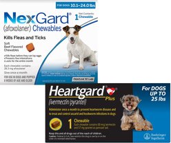 Heartgard Plus Chew for Dogs, up to 25 lbs, (Blue Box), 1 Chew (1-mo. supply) & NexGard Chew for Dogs, 10.1-24 lbs, (Blue Box), 1 Chew (1-mo. supply)