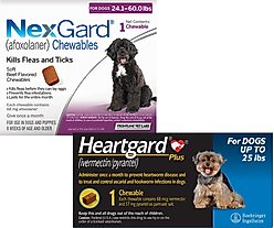 Heartgard Plus Chew for Dogs, up to 25 lbs, (Blue Box), 1 Chew (1-mo. supply) & NexGard Chew for Dogs, 24.1-60 lbs, (Purple Box), 1 Chew (1-mo. supply)