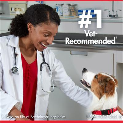 Show full view: Heartgard Plus Chew for Dogs, up to 25 lbs, (Blue Box), 3 Chews (3-mos. supply) slide 6 of 12