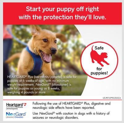 Show full view: Heartgard Plus Chew for Dogs, up to 25 lbs, (Blue Box), 3 Chews (3-mos. supply) slide 2 of 12