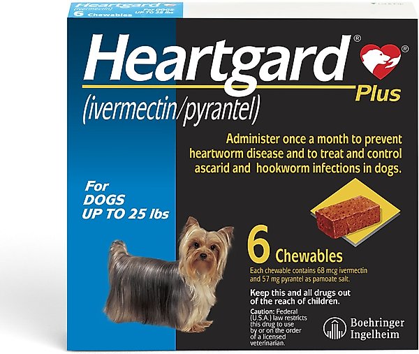 Show full view: Heartgard Plus Chew for Dogs, up to 25 lbs, (Blue Box), 6 Chews (6-mos. supply) slide 1 of 12