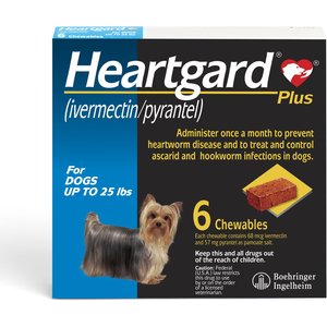NexGard Chewables for Dogs, 10.1-24 lbs, (Blue Box)