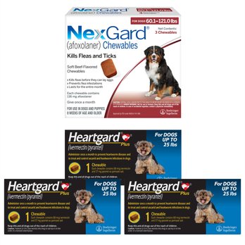 Heartgard: Heartworm Prevention (Free Shipping) Chewy - Main Image