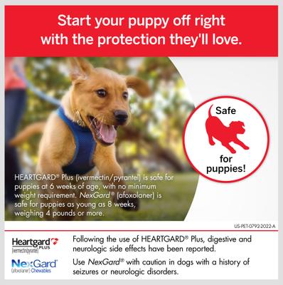 Show full view: Heartgard Plus Chew, up to 25 lbs, (Blue Box), 3 Chew (3-mo. supply) + NexGard Chew for Dogs, 60.1-121 lbs, (Red Box), 3 Chews (3-mos. supply) slide 3 of 9