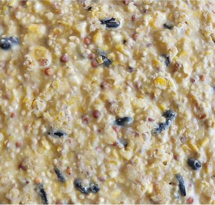 Show full view: Heath Crafted Suet Cakes Citrus High Energy Wild Bird Food, 11.75-oz, case of 12 slide 5 of 8