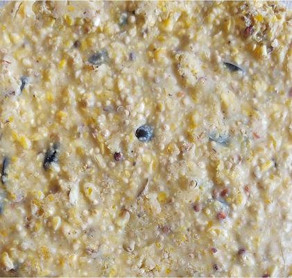 Show full view: Heath Crafted Suet Cakes Pumpkin Treat Wild Bird Food, 11.75-oz, case of 12 slide 6 of 8