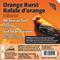 Show in main carousel: Heath Orange Burst Select Suet Cake Wild Bird Food, 11.25-oz, case of 12 slide 9 of 10