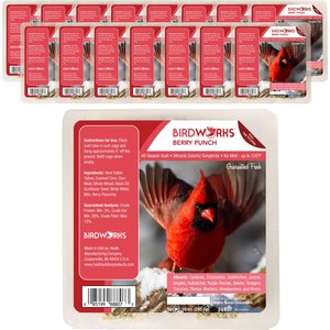 Heath Outdoor Products Berry Suet Cake Wild Bird Food, 10-oz, 16 count