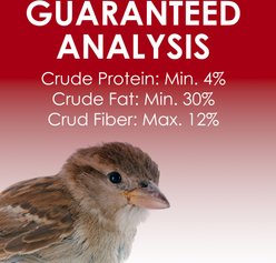 Heath Outdoor Products Cranberry All Season Blend Suet Cake Wild Bird Food, 11.25-oz, 12 count slide 2 of 5