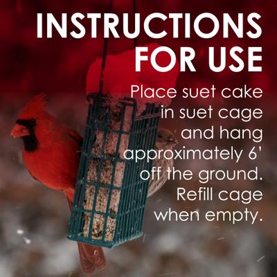 Show full view: Heath Outdoor Products Cranberry All Season Blend Suet Cake Wild Bird Food, 11.25-oz, 12 count slide 5 of 5