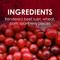Show in main carousel: Heath Outdoor Products Cranberry All Season Blend Suet Cake Wild Bird Food, 11.25-oz, 12 count slide 3 of 5