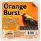 Show in main carousel: Heath Outdoor Products Orange Burst Suet Cake Wild Bird Food, 10 count slide 1 of 5